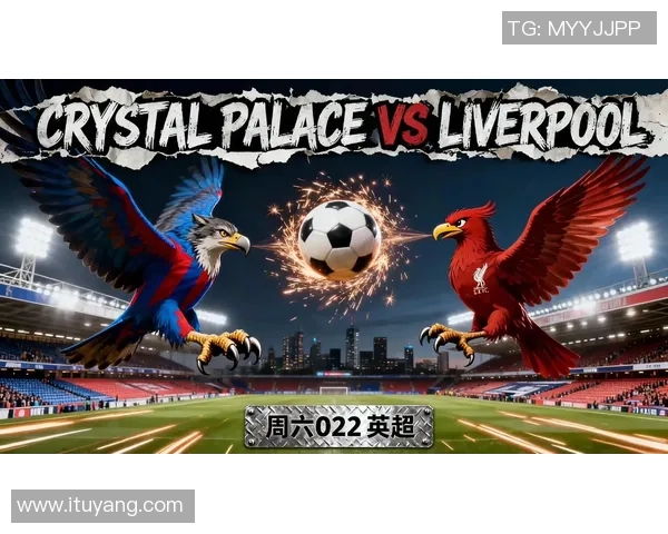 意甲焦点战：多特蒙德与利物浦激战成平局数据分析揭示比赛亮点