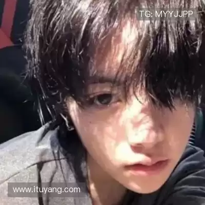 凤万宇